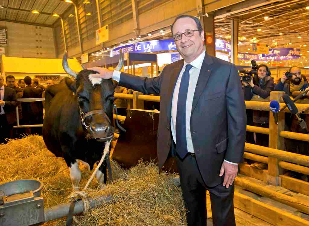 French President Francois Hollande poses next to a cow as he visits the International Agricultural Show in Paris, France, February 25, 2017. The Paris Farm Show runs from February 25 to March 5, 2017. REUTERS/Michel Euler/Pool
