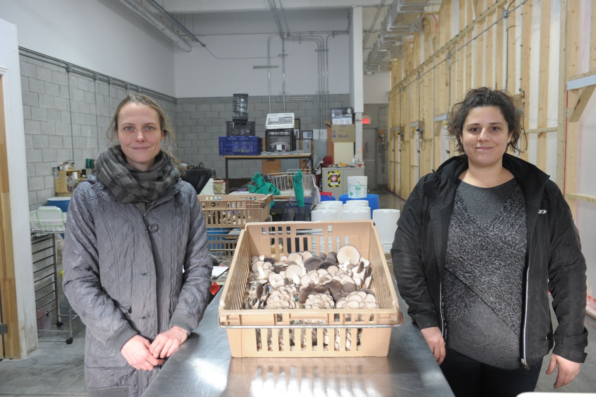 Lysiane Roy Maheu (L) and Dominique Lynch-Gauthier, co-founder of Montreal urban mushroom farming startup Blanc de Gris pose in the warehouse of the company on January 17, 2017 in Montreal, Quebec. AFP / Julien Besset