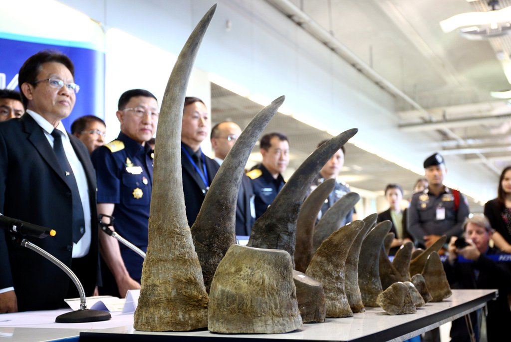 Rhino horns are displayed during a news conference at the Suvarnabhumi International Airport in Bangkok, Thailand March 14, 2017. REUTERS/Athit Perawongmetha