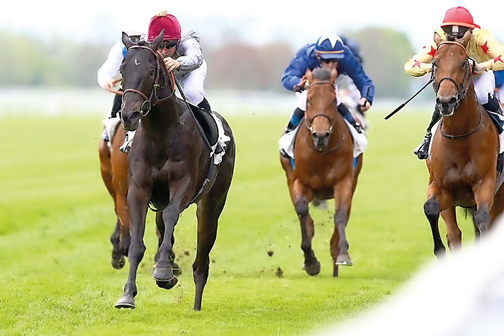 Al Shaqab Racing’s Al Wukair in action at the Maisons-Laffitte in France.