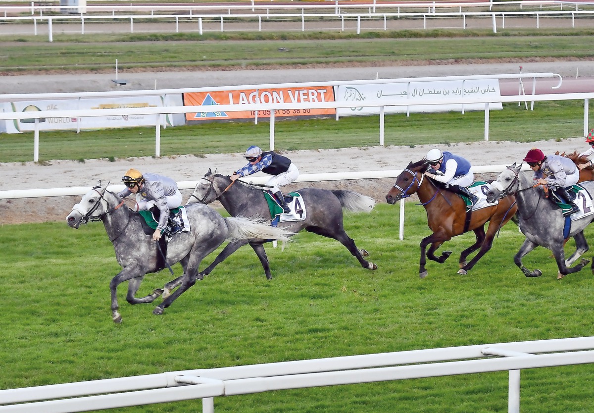 Action from the Group 2 Prix Carthage-Hannibal Shaikh Zayed Bin Sultan Al Nahyan Cup in Toulouse, France on Friday. 