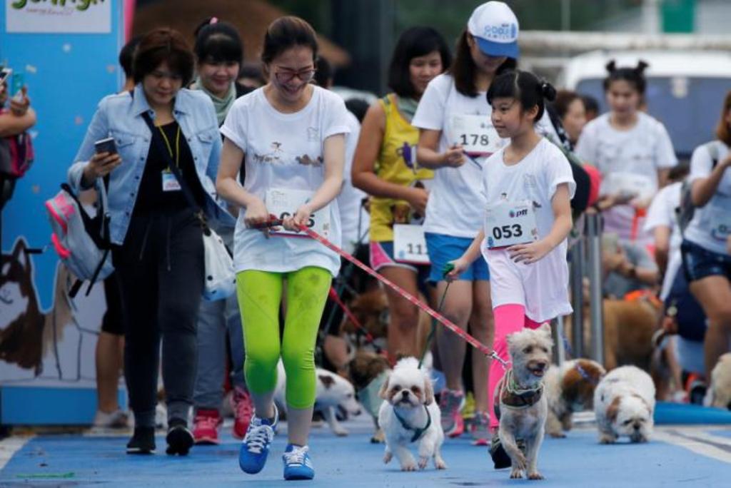 People run with their pets during a mini-marathon for dogs in Bangkok, Thailand May 7, 2017. REUTERS/Jorge Silva.