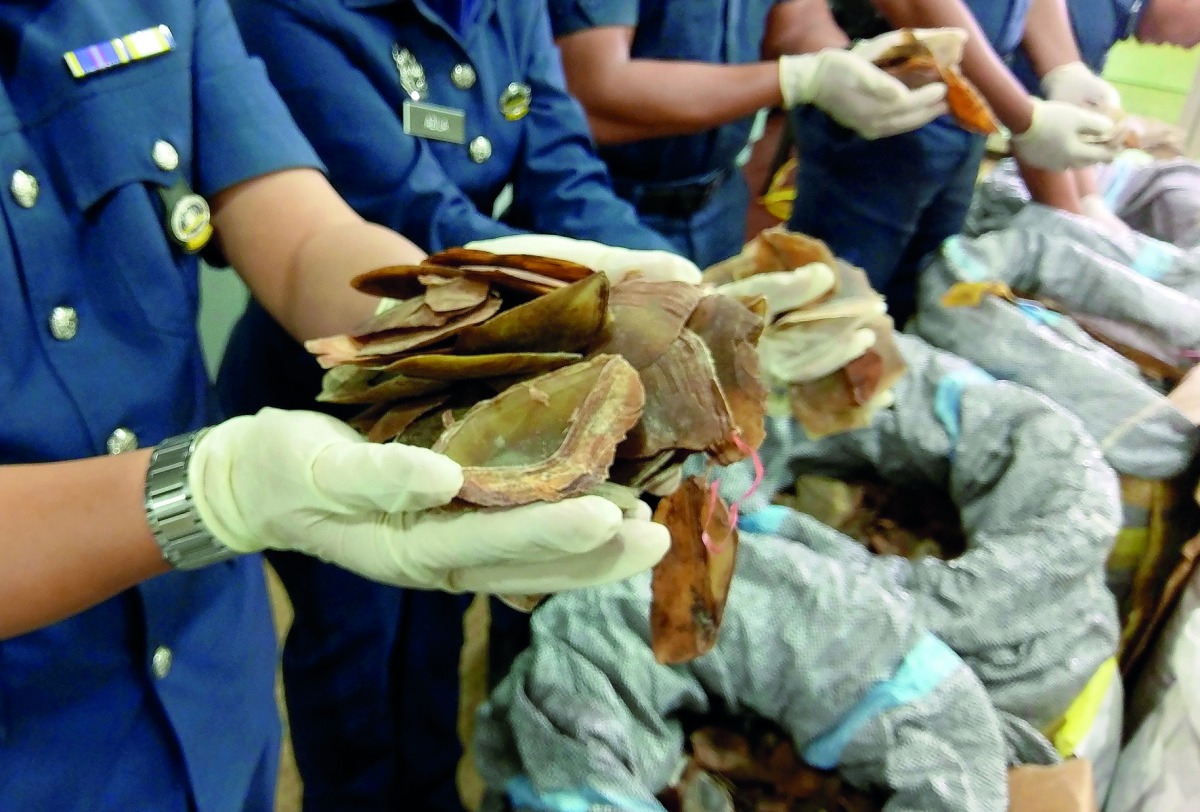 Customs officials hold up seized pangolin scales at Kuala Lumpur airport, Customs complex in Sepang, yesterday.