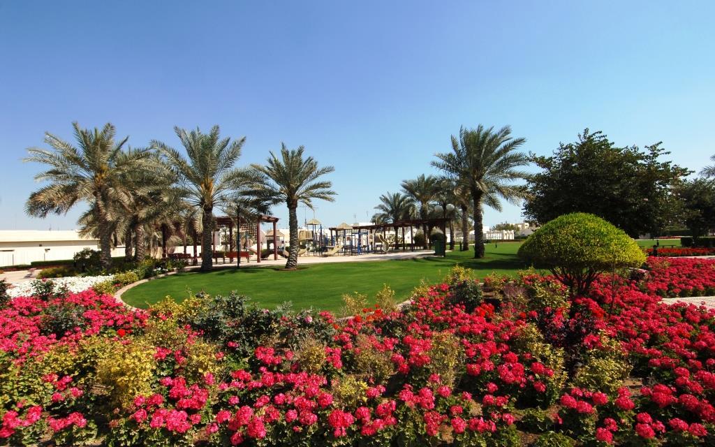 Photo for representation only. source. twitter.com/albaladiya