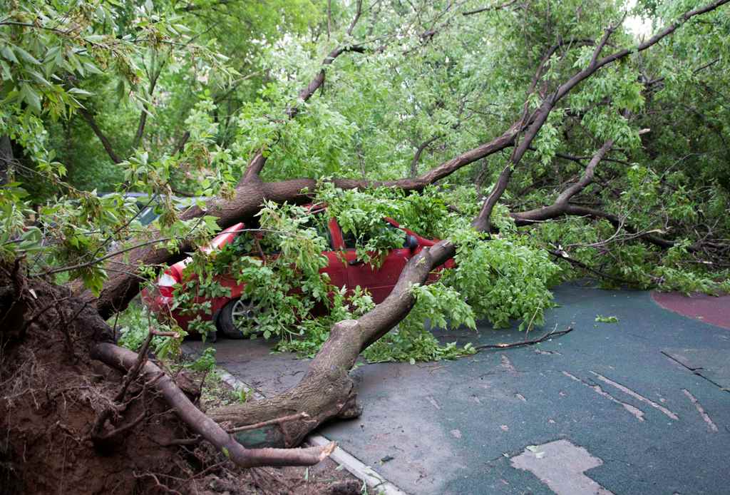 A view shows a tree, which was uprooted by a heavy storm and fell down on a car, in Moscow, Russia, May 29, 2017. REUTERS/Andrey Kuzmin.