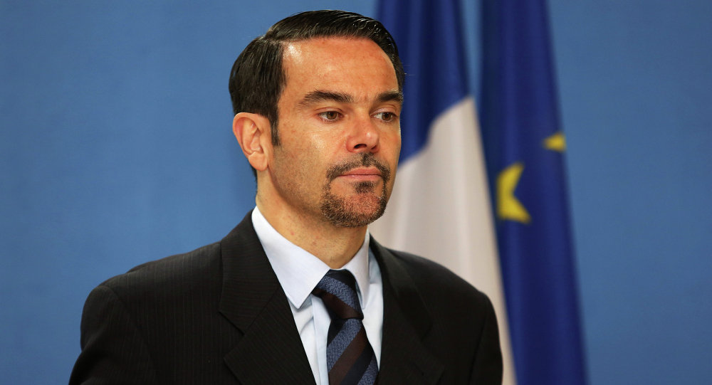 Romain Nadal, Foreign ministry spokesman