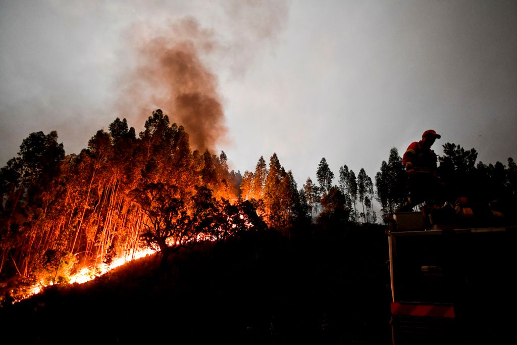 A firefighter stands on top of a fire combat truck during a wildfire at Penela, Coimbra, central Portugal, on June 18, 2017 A wildfire in central Portugal killed at least 25 people and injured 16 others, most of them burning to death in their cars, the go