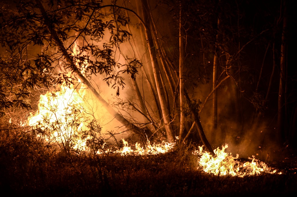 Fire on the side trees of CM1099 road, near IC8 in Portugal on June 18, 2017. A forest fire has claimed 61 lives in Portugal, the country's National Civil Protection Agency revealed on Sunday. / ( Andre Alves - Anadolu Agency ).