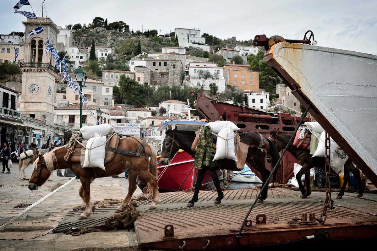 Mules transport goods from commercial ferry on the Greek island of Hydra on November 12, 2016.  AFP / Louisa Gouliamaki