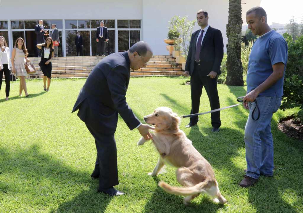 Lebanese President Michel Aoun (C) plays with a dog in the garden of the Baabda presidential palace on August 29, 2017, after signing the country's first animal welfare bill into law in the presence of representatives from welfare group Animals Lebanon wh