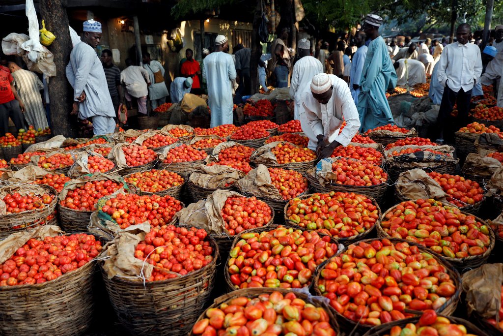 People walk past baskets of tomatoes in the Yankaba market in Kano, northwest Nigeria August 23, 2017. Picture taken August 23, 2017 REUTERS/Akintunde Akinleye.