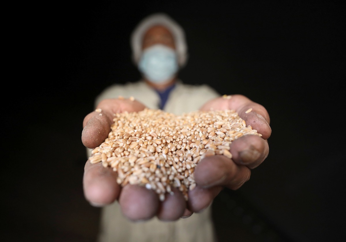 A man holds wheat at the grain silos in Cairo, Egypt, October 4, 2017. Picture taken October 4, 2017. Reuters/Mohamed Abd El Ghany