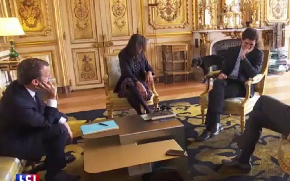 Nemo, the young dog adopted this year by France’s Emmanuel Macron, was caught on camera relieving himself on a gilded fireplace in the Elysee Palace behind a group of junior ministers meeting with the president.
