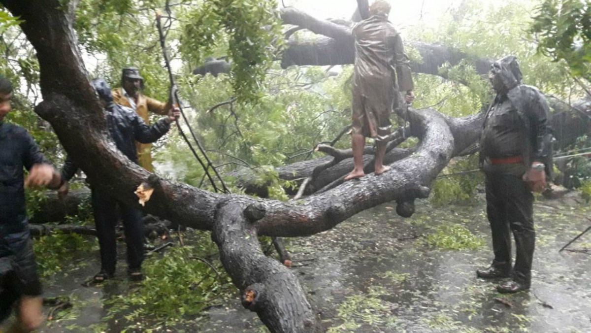 A 70-member team from the State Disaster Response Force and two teams consisting of 60 personnel from the National Disaster Response Force have been sent to Kanyakumari district to take care of rescue and relief operations, he said. (Photo courtesy:  All 