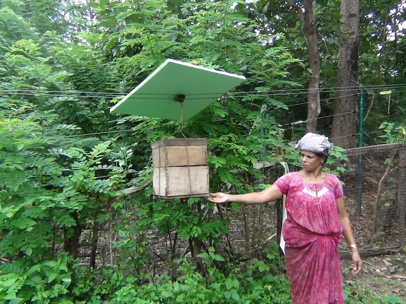 A farmer displays a beehive that is part of an elephant control beehive fence in Mayilattumpara village in India's Kerala state, October 2017. Thomson Reuters Foundation/K. Rajendran