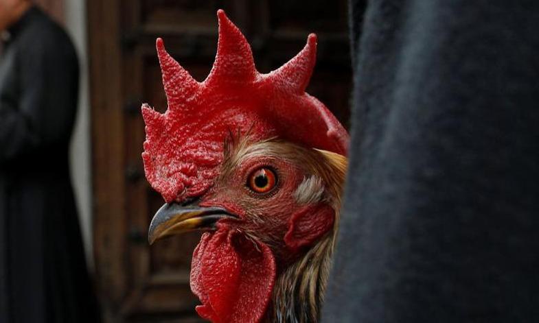 Representative image: Reuters/Carlos Jasso