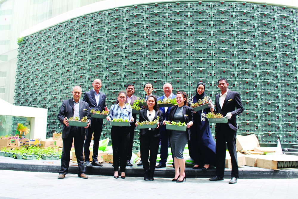 The Holiday Villa team holding the planters during the installation of vertical gardens.