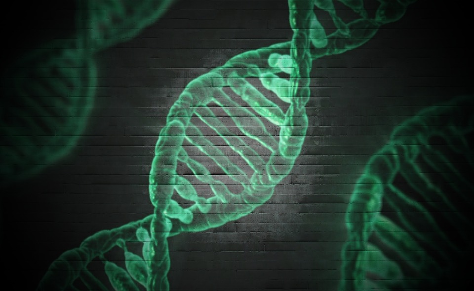 Image used for representation. 