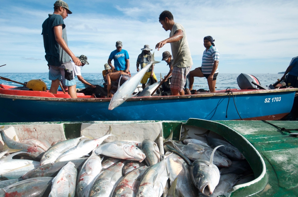 Fishermen pulling in fish caught in their nets off the coast of Mahe in the Seychelles islands on February 21, 2018. (AFP / The Nature Conservancy / Tate Drucker) 