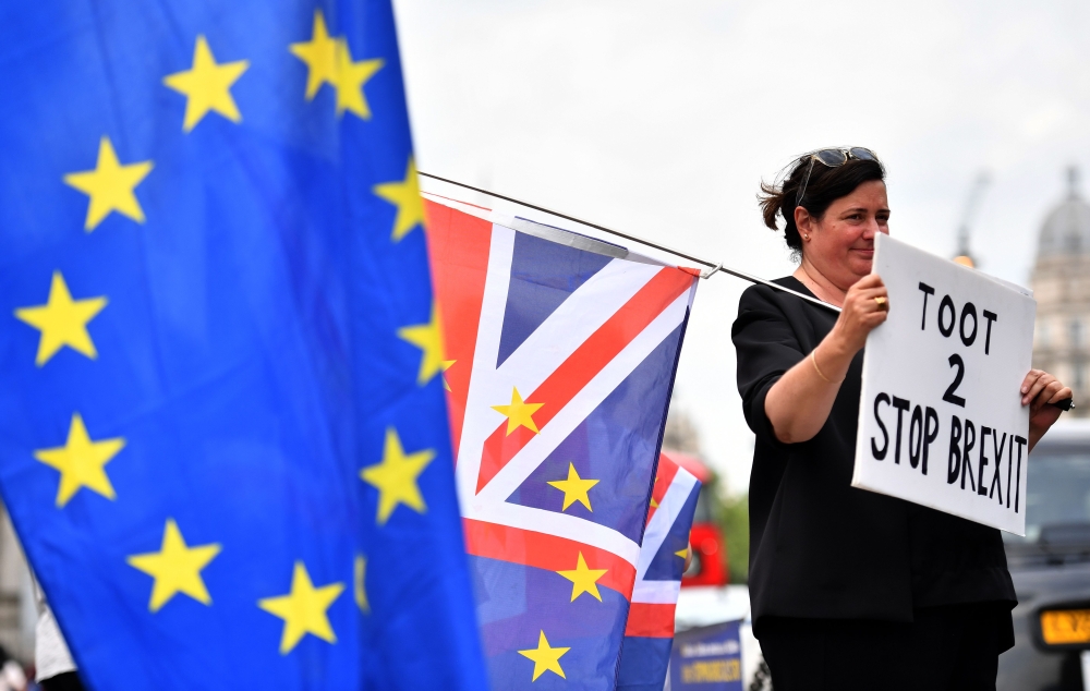 :A pro-EU demonstrator holds a placard during an anti-Brexit protest outside the Houses of Parliament in London on June 13, 2018. (AFP / Ben STANSALL)