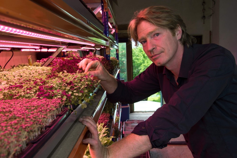 British microgreens grower Chris Kilner, poses in his greenhouse under artificial light, in his vegetable farm in Saint-Jean-en-Val on May 22, 2018. AFP / Thierry Zoccolan