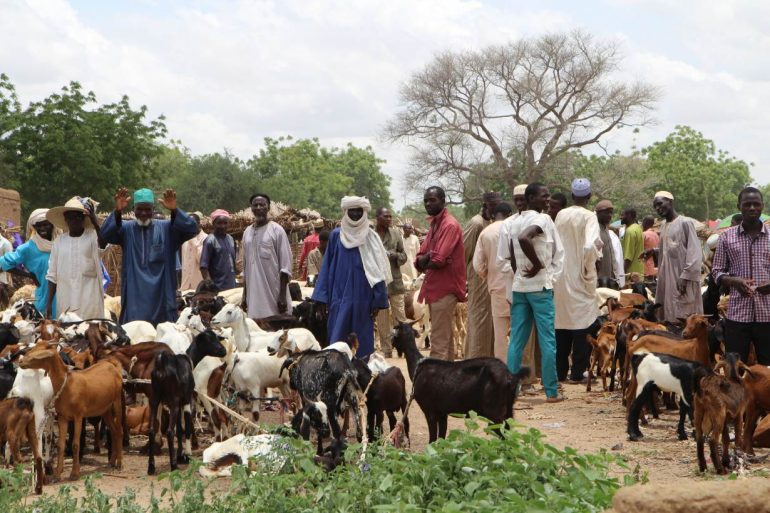 Men buying and selling goats at the market in Dargue village in Maradi Region in south central Niger on Aug 16, 2018. Thomson Reuters Foundation/Thin Lei Win 