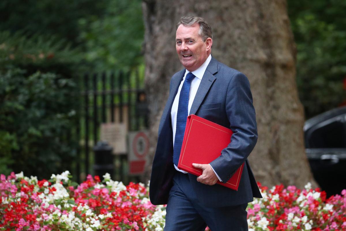 FILE PHOTO: Britain's Secretary of State for International Trade Liam Fox arrives in Downing Street, London, September 4, 2018. REUTERS/Hannah McKay
