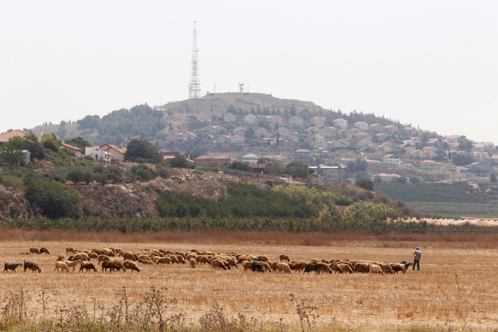 A herd of sheep graze near the Lebanese-Israeli border in Kfar Kila village southern Lebanon, August 24, 2015. Reuters/Aziz Taher
