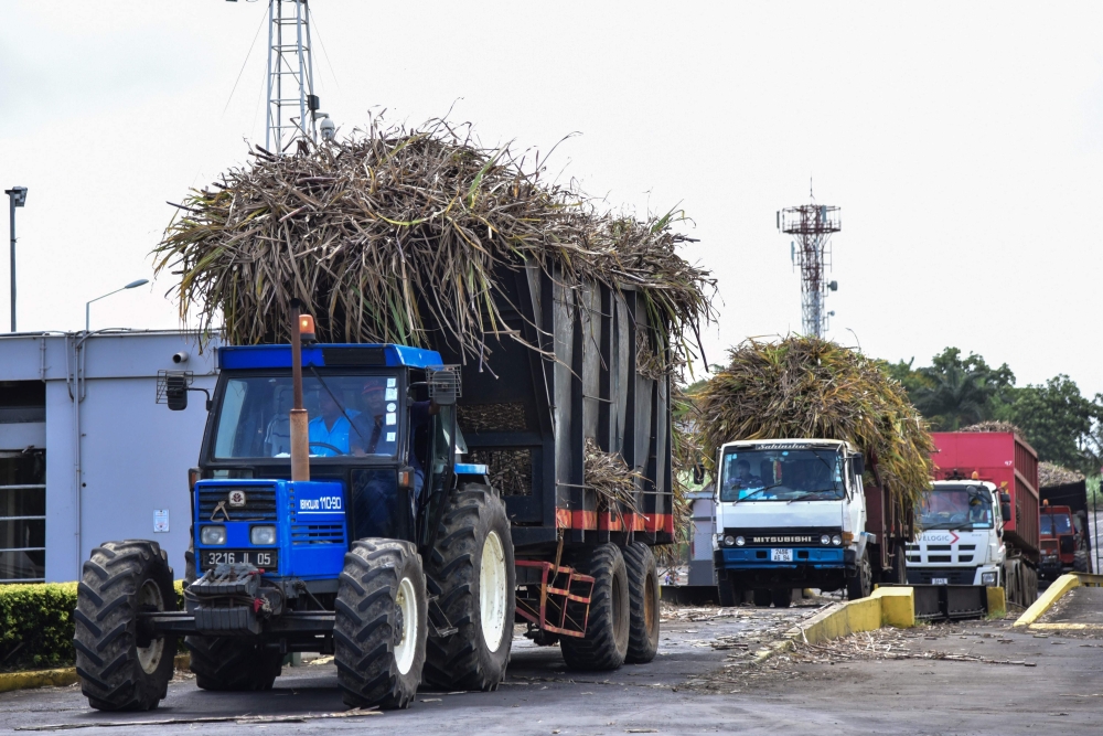 A photo taken on November 22, 2018, shows trucks carrying sugarcane at Omnicane Savannah Sugar Factory in l'Escalier, Mauritius. AFP PHOTO / LA SENTINELLE/BEEKASH ROOPUN/