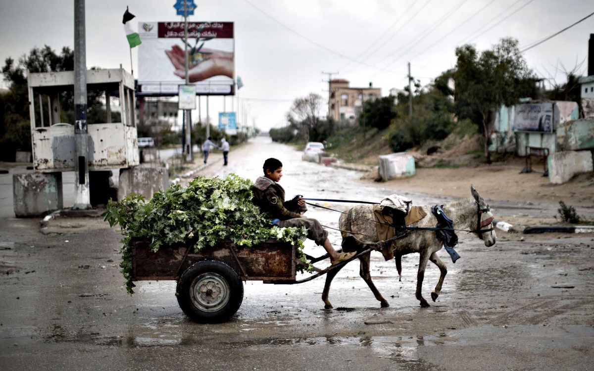 A Palestinian boy rides a donkey cart in Beit Hanun, northern Gaza Strip in this file photo. (AFP/Mahmud Hams)