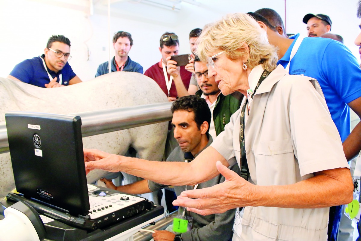 Participants during a session at the Equine Reproduction and Neonatology Conference 2019 at the Qatar National Conference Center. 