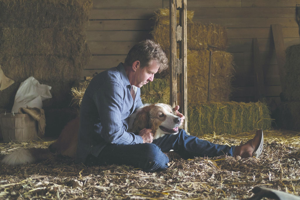 Still from the movie A Dogs Journey.