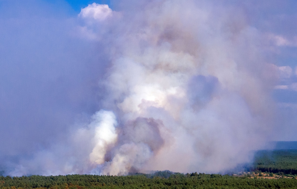 A picture taken on July 1, 2019 shows smoke rising from a forest fire near Jessenitz. - Germany OUT / AFP / dpa / Jens Büttner
 