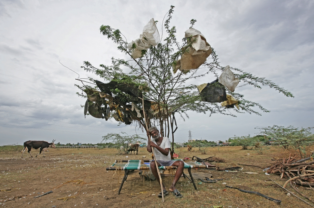 A shepherd takes rest under a tree on a dried-up lake on the outskirts of Chennai, India, June 27, 2019. Reuters/P Ravikumar 