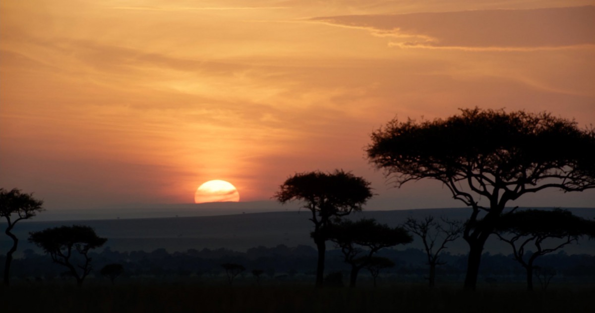 Image taken from Jon Favreau's official twitter account.