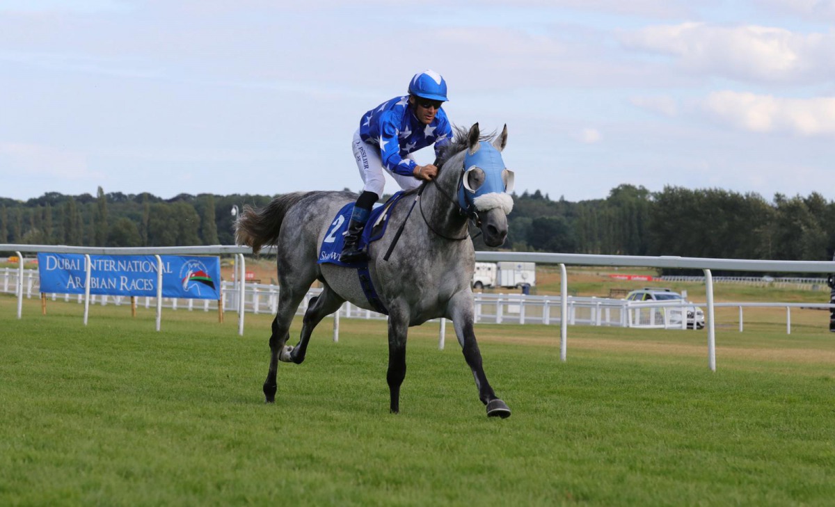Jockey Olivier Peslier and H H Sheikh Mohammed bin Khalifa Al Thani’s Gazwan on their way to win the Shadwell Dubai International Stakes (Gr1/PA) at the Newbury Racecourse, yesterday.