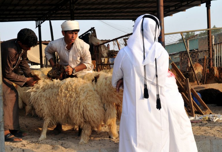 Representational picture 