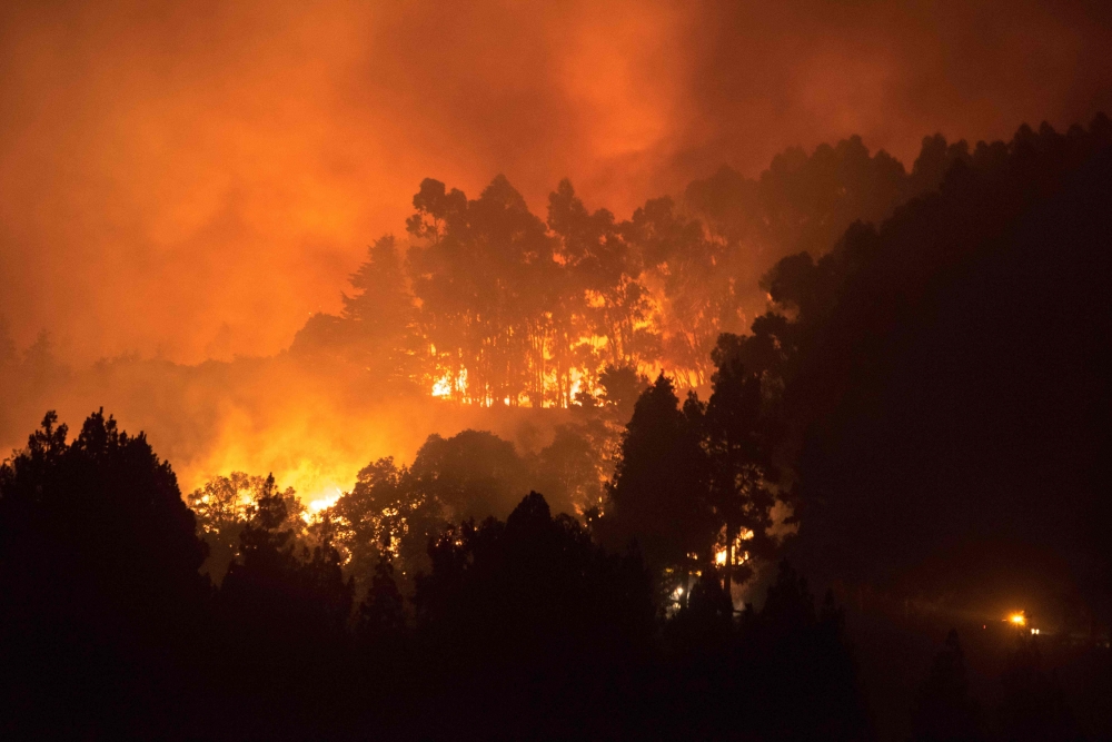 The trees above the road of the forested peaks of Valleseco are engulfed in flames during the new forest fire that broke out just days after another blaze raged in the same area, in the Grand Canary Island of Spain, August 17, 2019.   AFP / DESIREE MARTIN