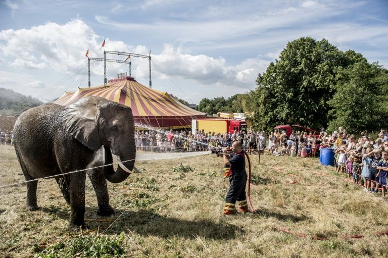 Firefighters spray water to cool an elephant in high temperatures at the Arene circus in Gilleleje (AFP Photo/Mads Claus Rasmussen) 