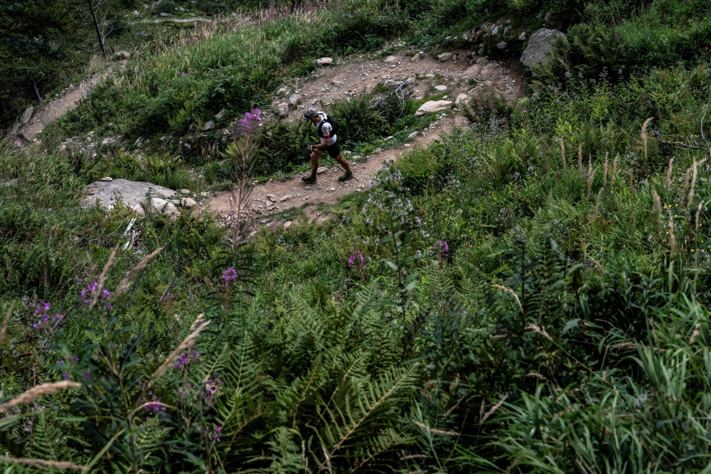 A trailer competes in the 170 km Mount Blanc Ultra Trail (UTMB) race around the Mont-Blanc crossing France, Italy and Swiss, on August 31, 2019 in the Tete aux Vents near Chamonix. / AFP / JEFF PACHOUD
