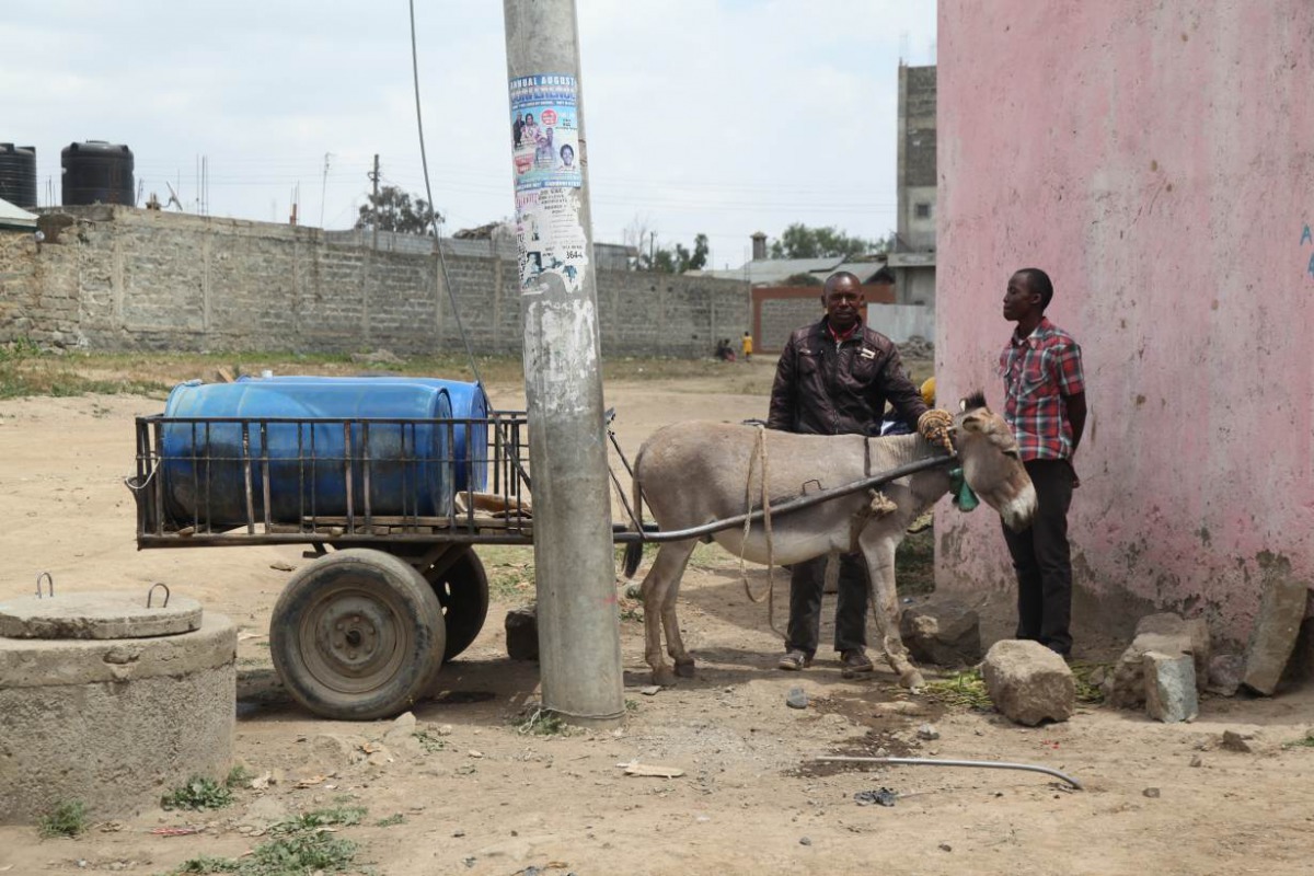 Charles Maina, 40, poses with his hired donkey in Naivasha, Kenya. Aug 22, 2019. Nita Bhalla/Thomson Reuters Foundation.
