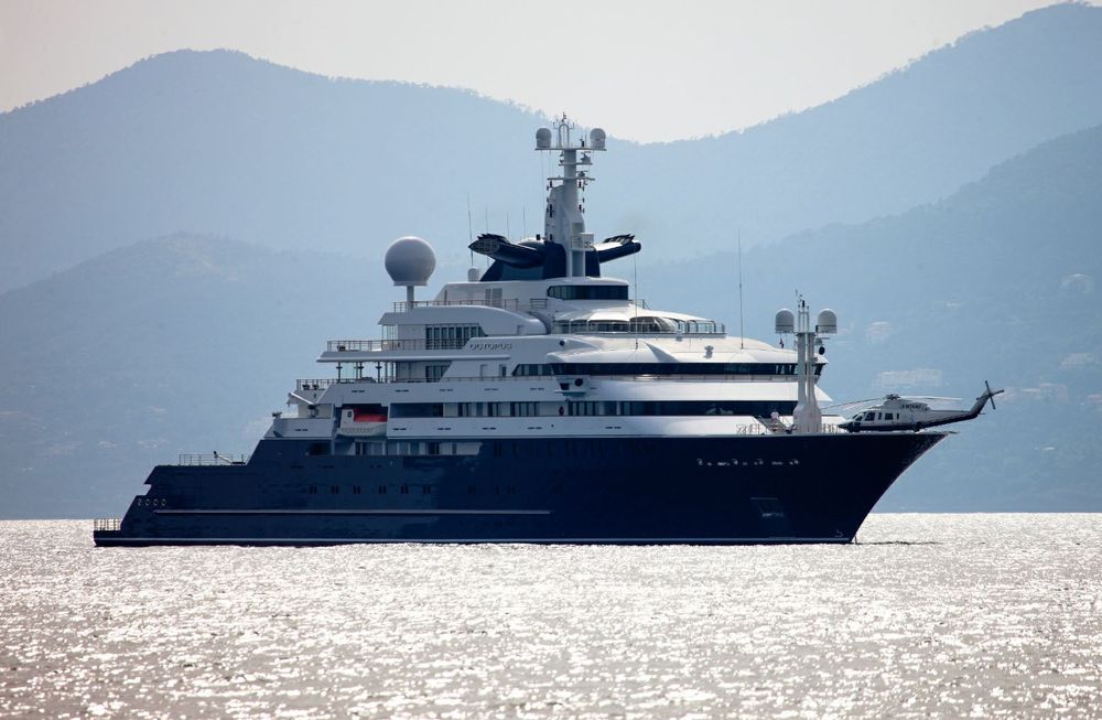 The Octopus. Photo courtesy: Burgess 
 
 