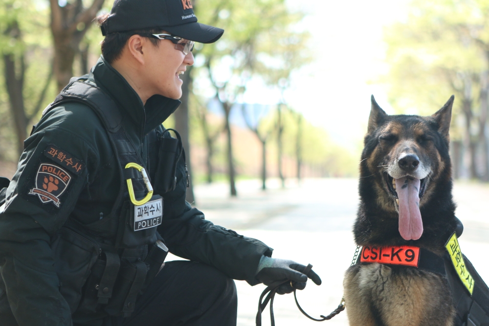 Representative image: Dog handler Ahn Seong-heon with Larry, a seven-year-old German shepherd police dog killed in the line of duty by a snake. AFP /Daegu Metropolitan Police Agency
