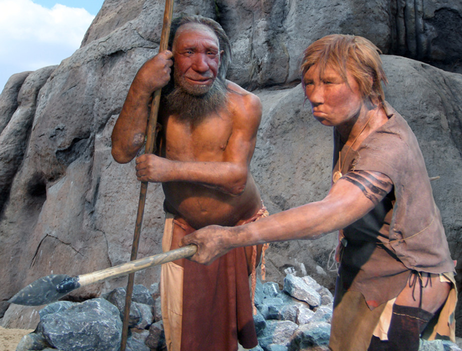 Male and female Neanderthals in the Neanderthal Museum, Mettmann, Germany. Wikimedia Commons/CC BY-SA