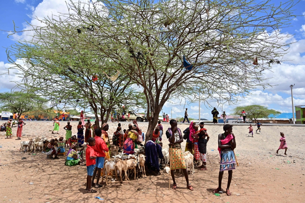 Traditional Samburu tribes-people shelter in the shade of an acacia at Merille livestock market, some 411km north of Nairobi, in Marsabit county on April 30, 2019. AFP/Tony Karumba