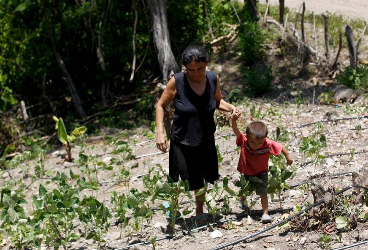 A woman and her son walk in their drought-affected plot, in the southern village of San Francisco de Coray, in the department of Valle, Honduras, August 13, 2015. Reuters/Jorge Cabrera
