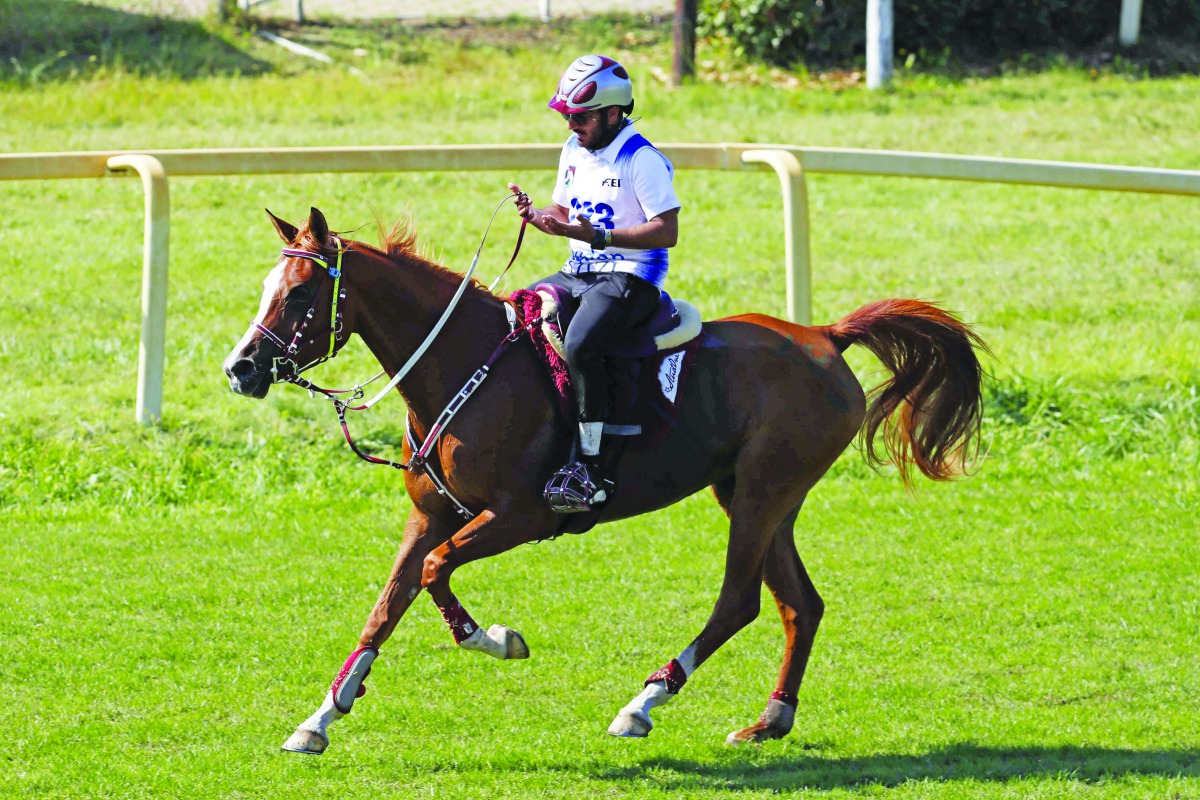 Al Shaqab rider Mohammed Khalifa Al Sowaidi astride Sa’ada Al Shaqab during the FEI Meydan World Endurance Championship - Young Horses 2019 in Italy.