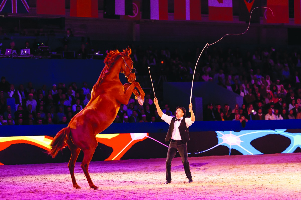 A horse performs during a show.