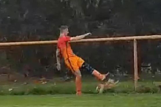 One of the players, Ivan Gazdek from the home team NK Jelengrad, ran after the birds, kicked one with his foot and then chucked it over the fence in a flurry of feathers.
