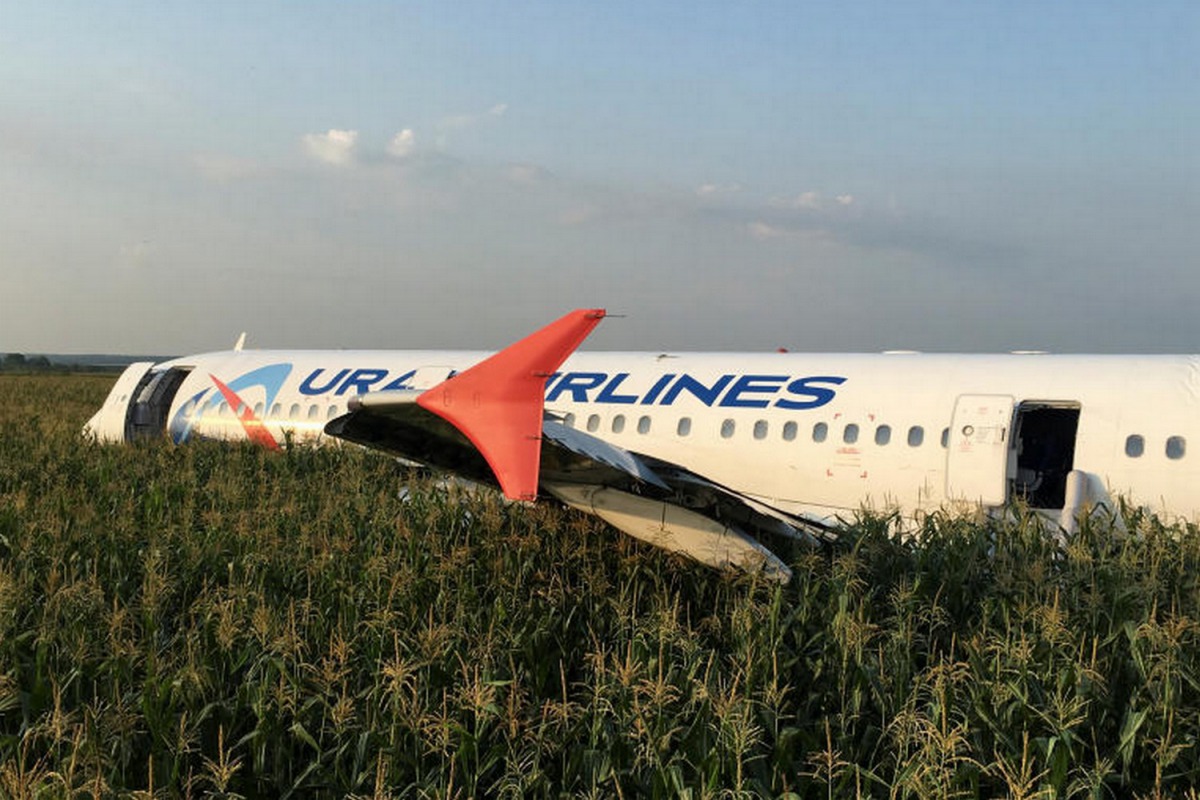 This Ural Airlines A321 passenger plane crash landed safely in a corn field after a bird strike took out both its engines, near Zhukovsky International Airport in Moscow Region, Russia, on Thursday. Reuters